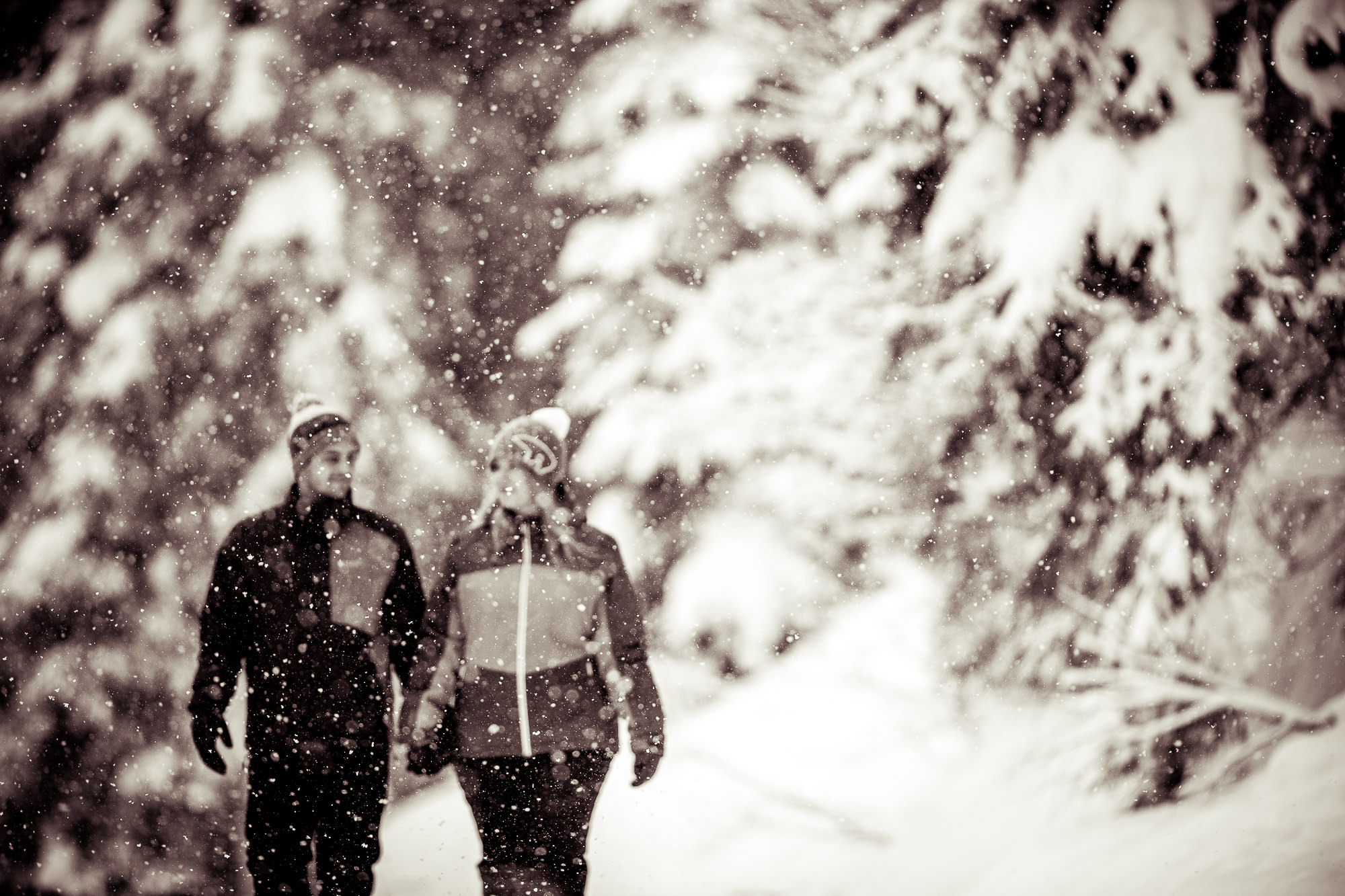 Export x3 1DX29025 Verlobungsfotoshooting 2018 Anna & Dominik